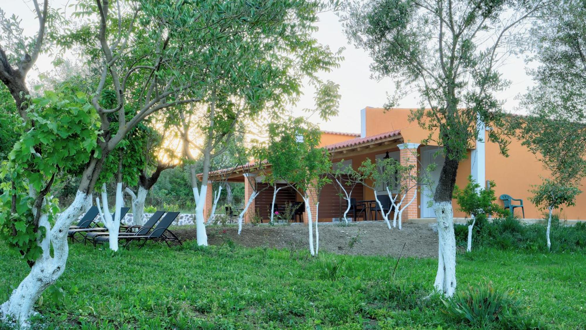 Hector Apartment Kanakádes