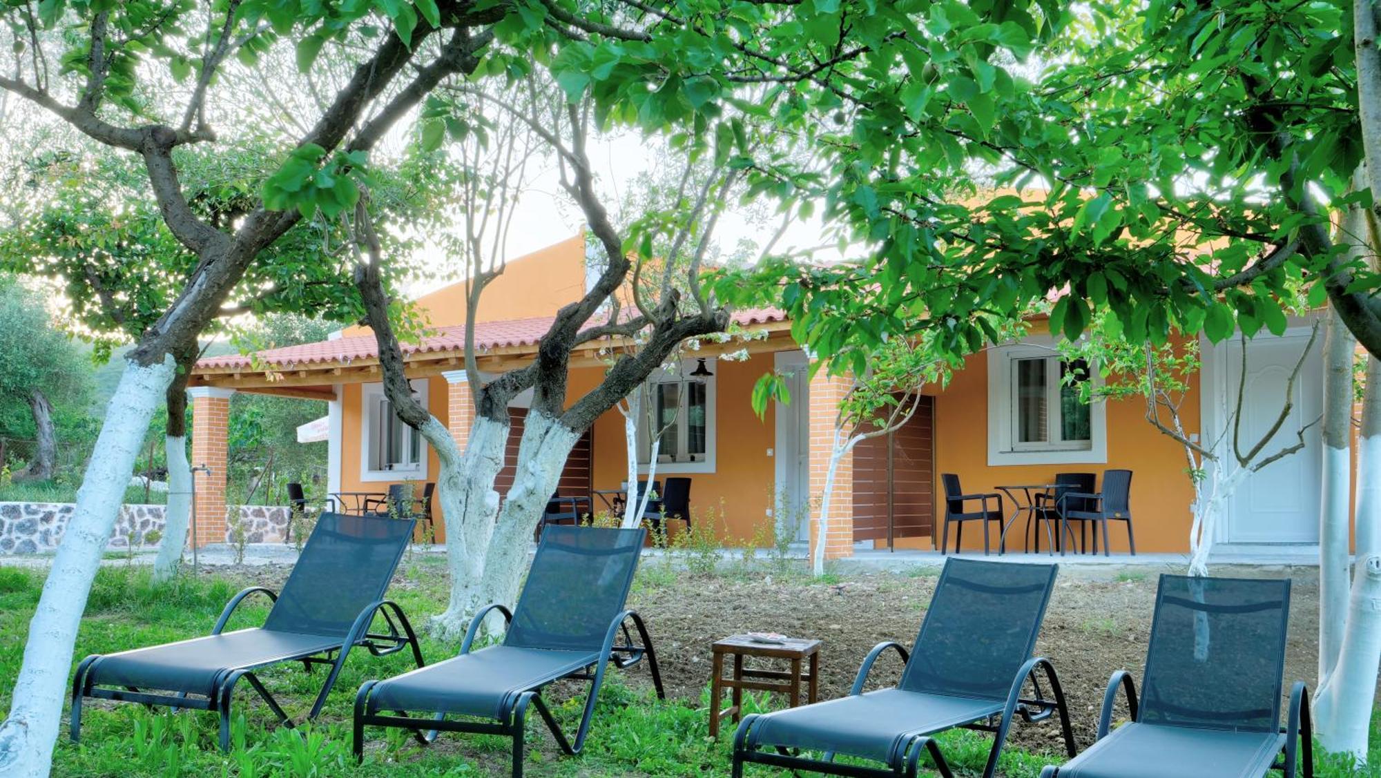 Hector Apartment